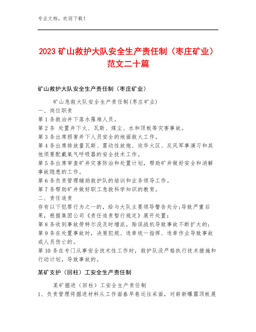 2023矿山救护大队安全生产责任制（枣庄矿业）范文二十篇