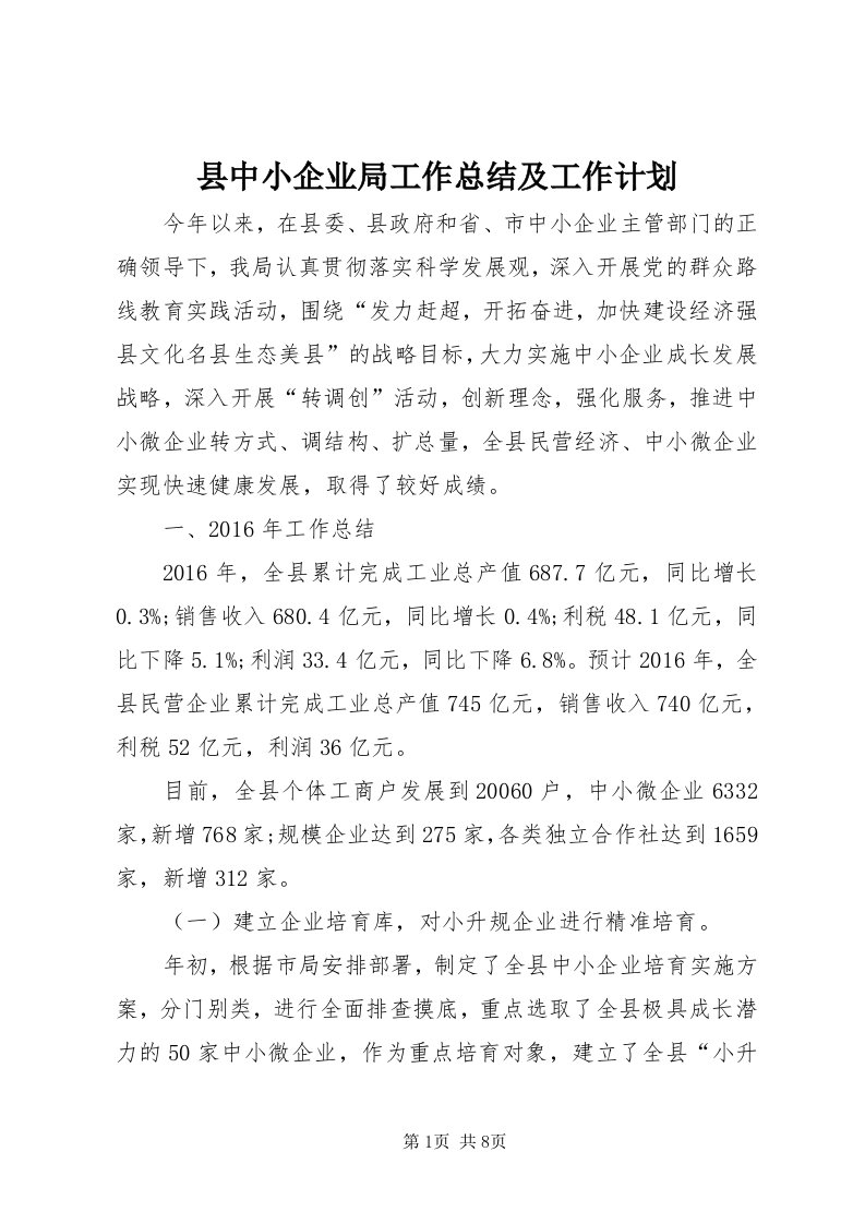 6县中小企业局工作总结及工作计划