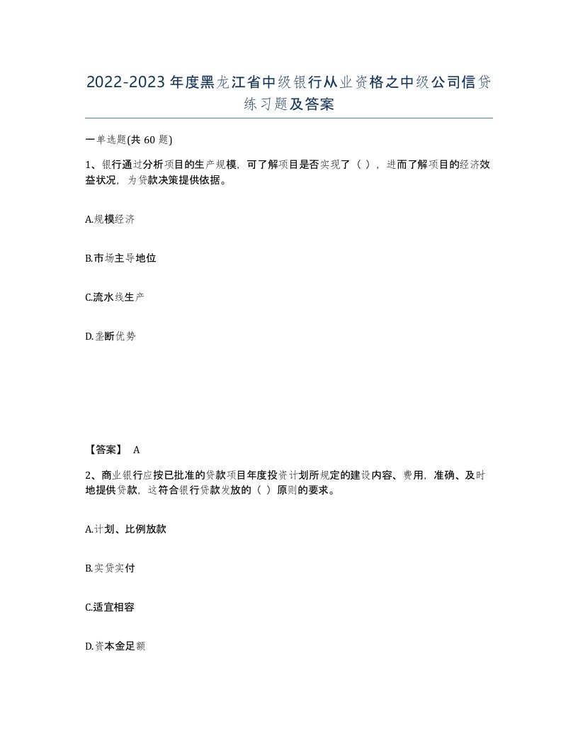 2022-2023年度黑龙江省中级银行从业资格之中级公司信贷练习题及答案