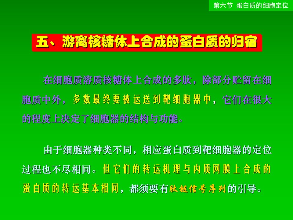 游离核糖体上合成的蛋白质的归宿