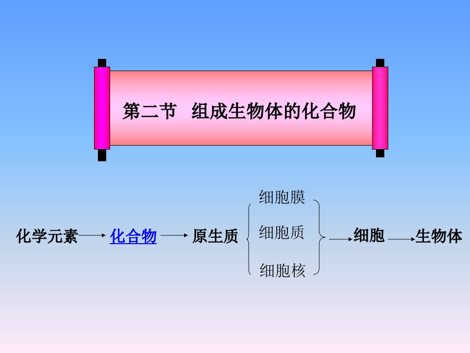 第二节组成生物体的化合物477K