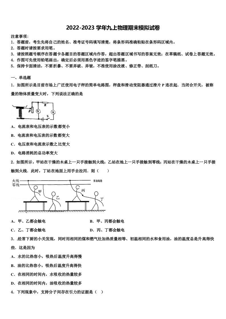 2022-2023学年重庆市渝中学区九年级物理第一学期期末达标检测试题含解析