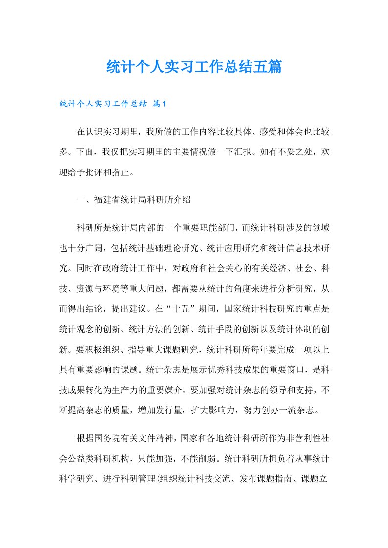 统计个人实习工作总结五篇