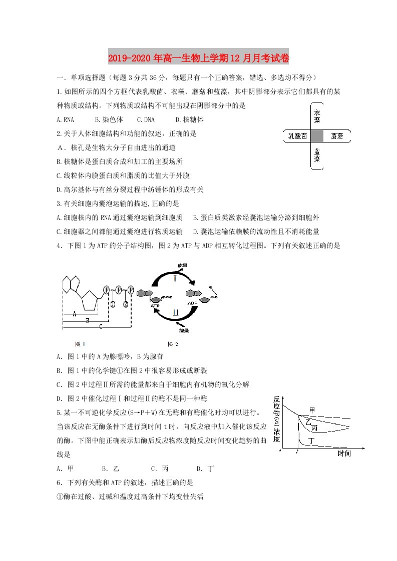 2019-2020年高一生物上学期12月月考试卷