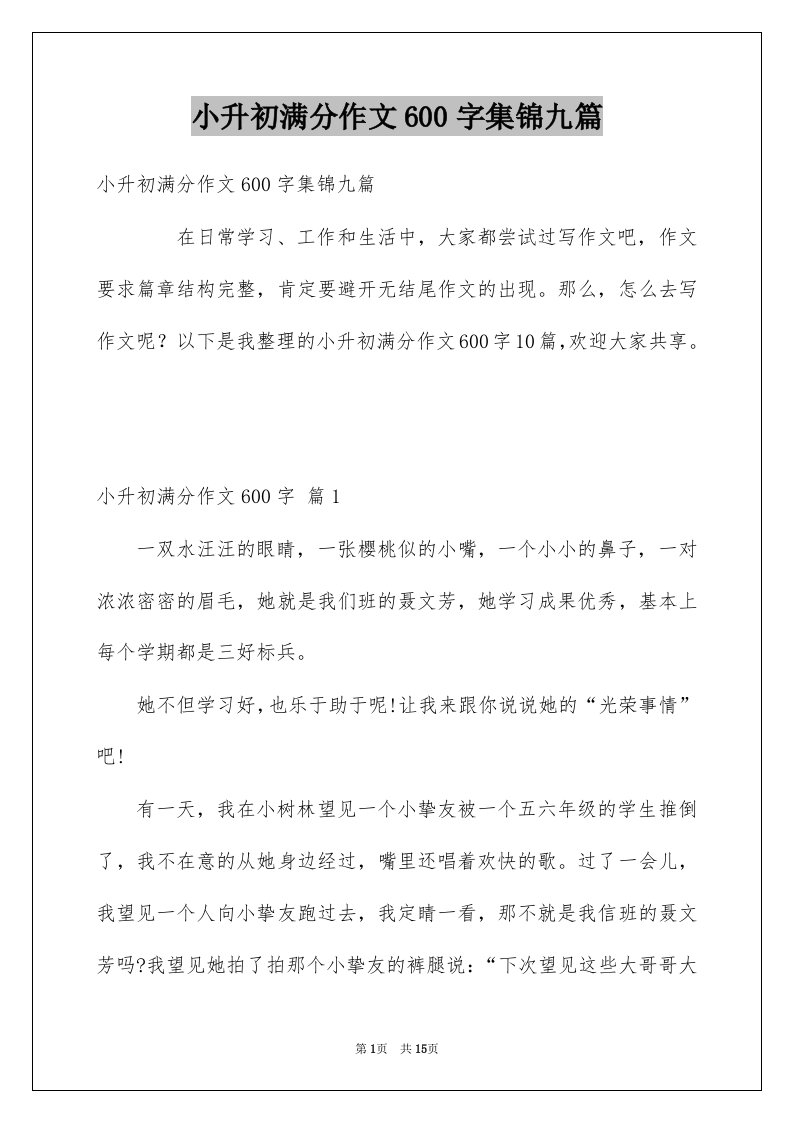 小升初满分作文600字集锦九篇