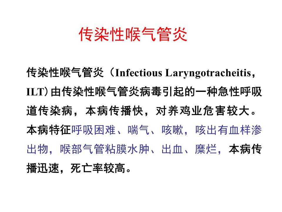 禽病学传染性喉气管炎课件