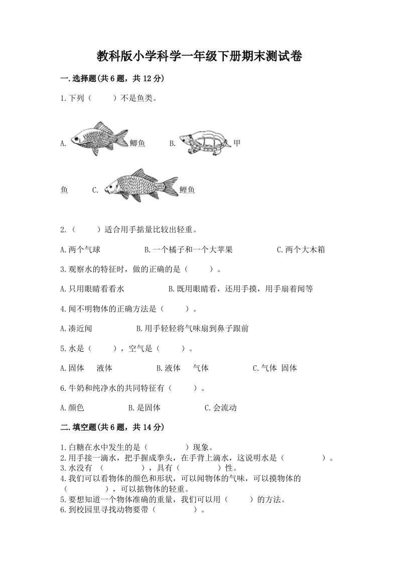 教科版小学科学一年级下册期末测试卷含答案（能力提升）