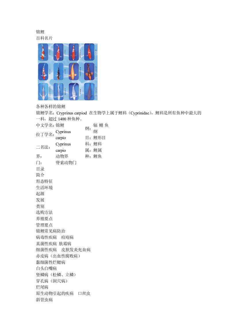 观赏鱼锦鲤的养殖资料