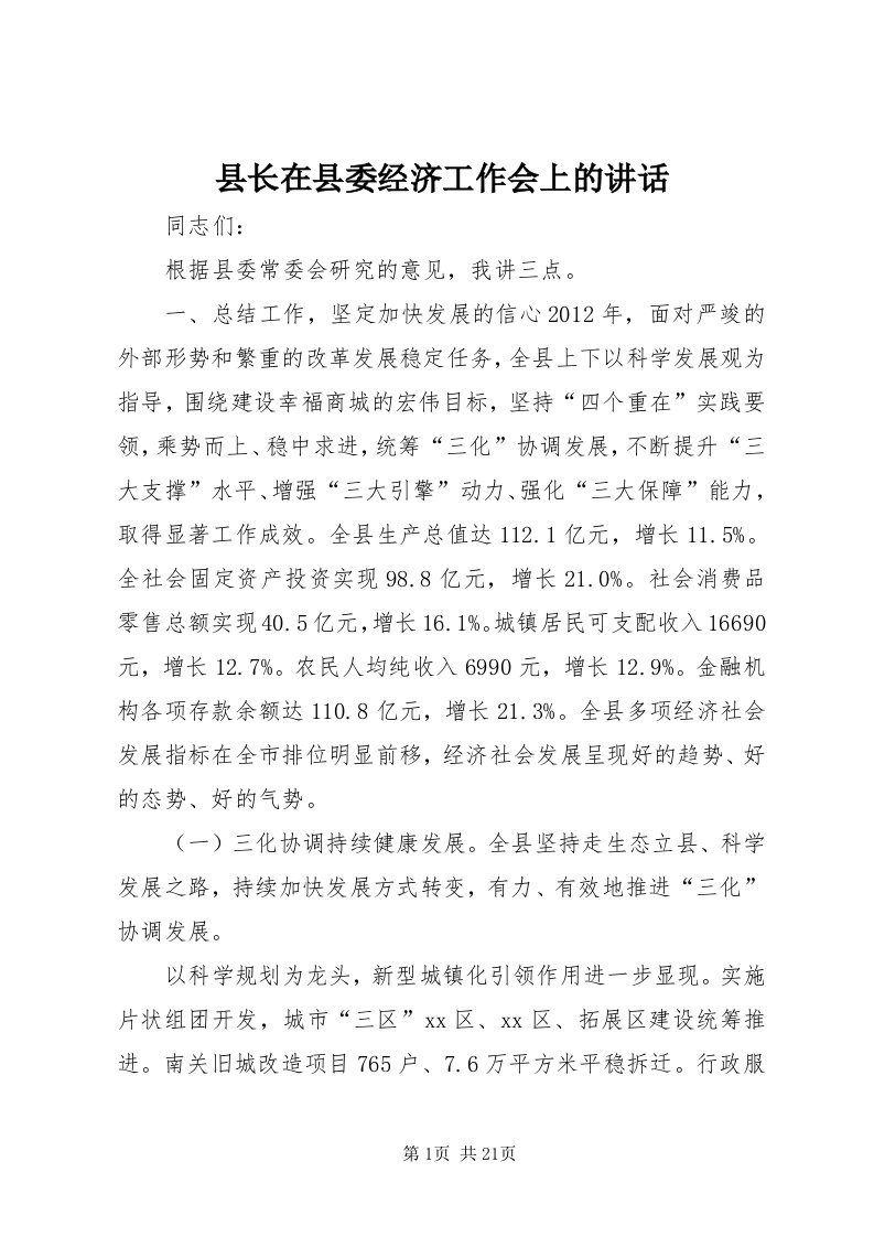 6县长在县委经济工作会上的致辞