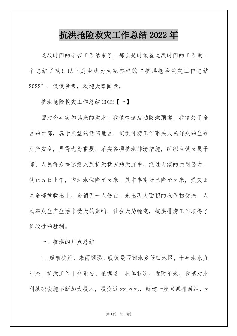 抗洪抢险救灾工作总结2022年