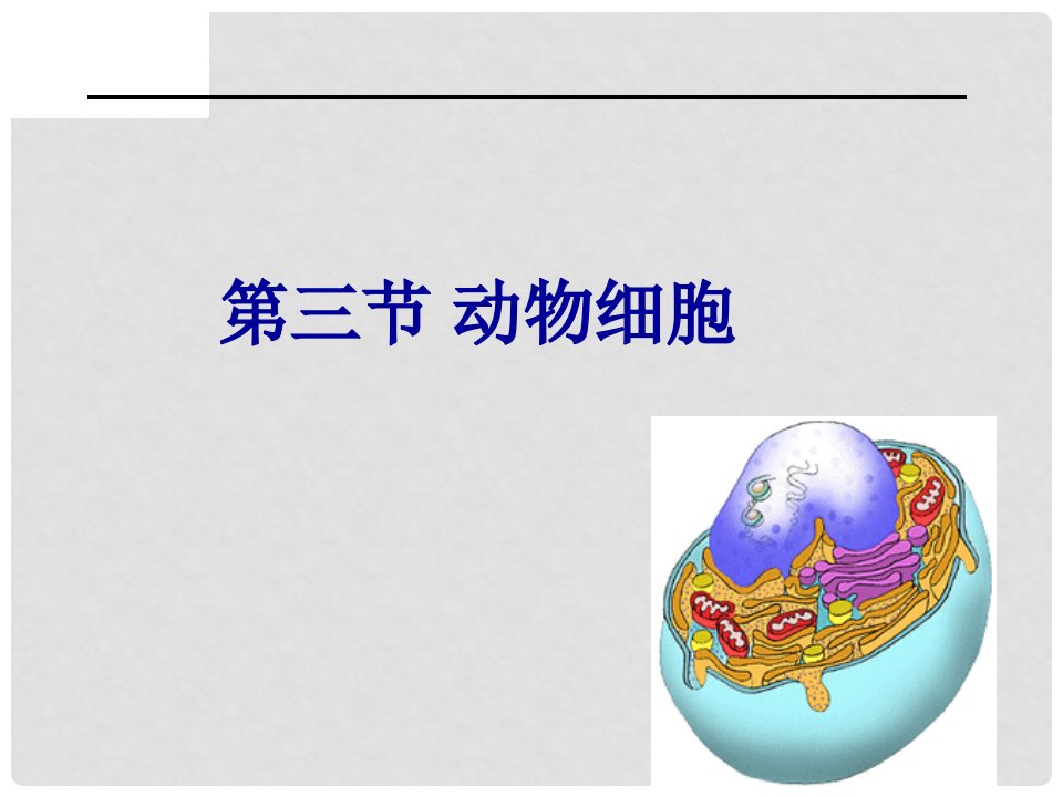 四川省南充市营山县七年级生物上册