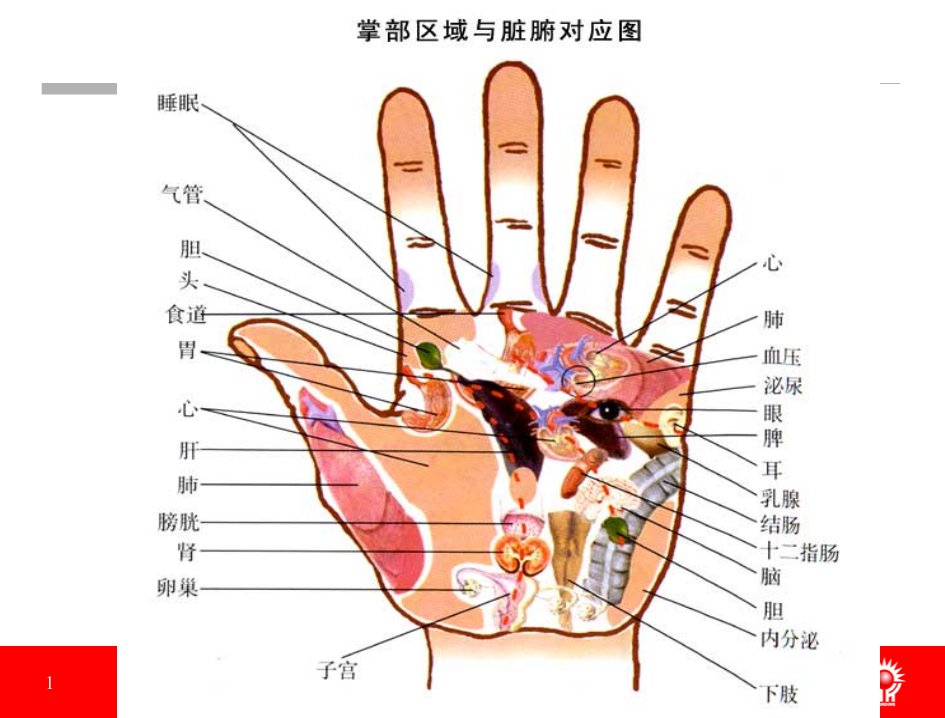 倡导健康生活,追求幸福人生-精品课件(PPT)