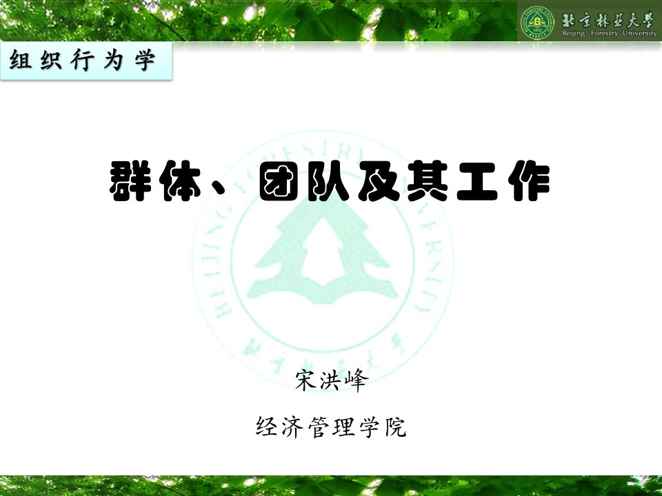 组织行为学8_群体与团队（PPT35页)