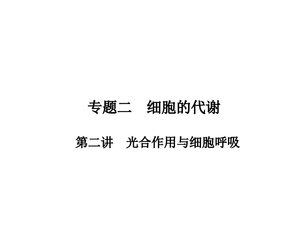 细胞的代谢重点