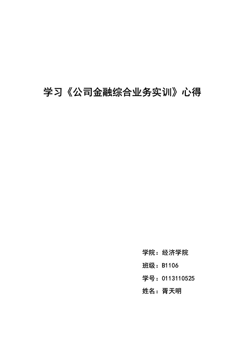 公司金融综合业务实训心得