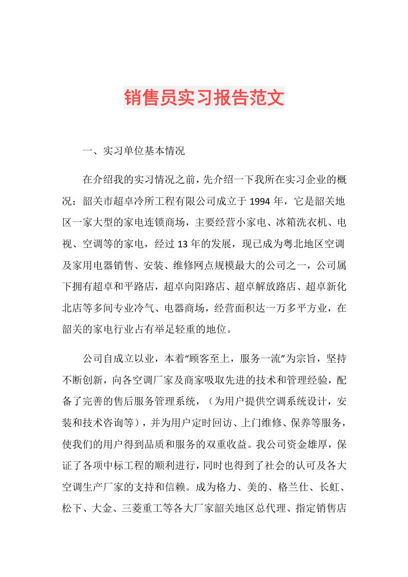 销售员实习报告范文