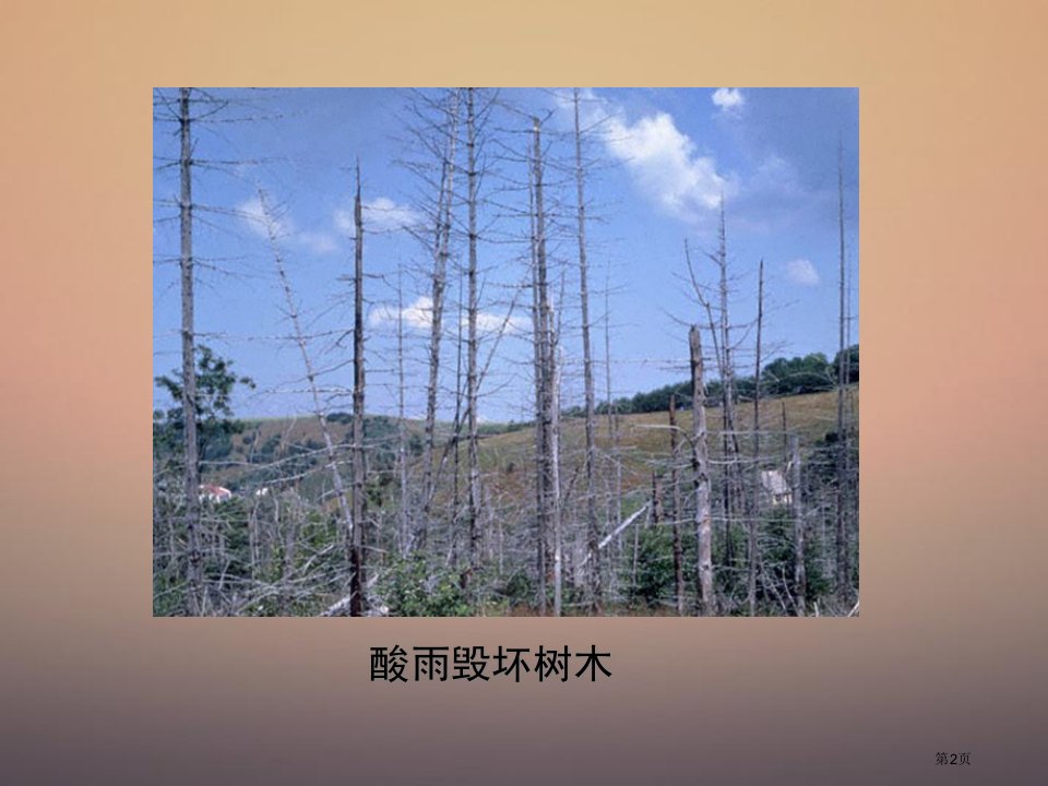 探究环境污染对生物的影响成稿市公开课一等奖省优质课获奖课件