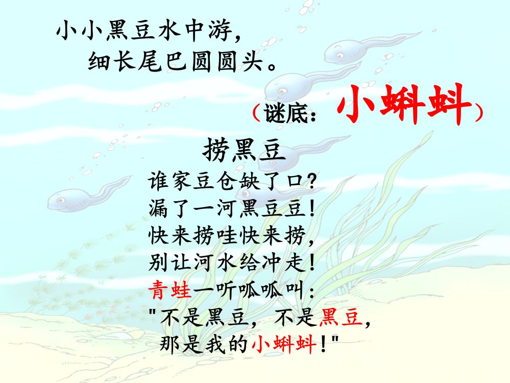 小蝌蚪找妈妈(完美版)