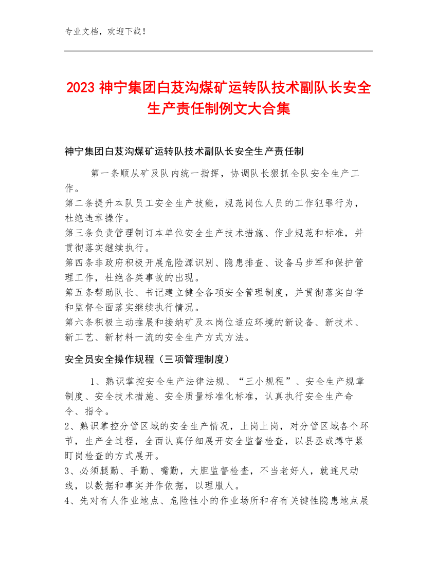 2023神宁集团白芨沟煤矿运转队技术副队长安全生产责任制例文大合集