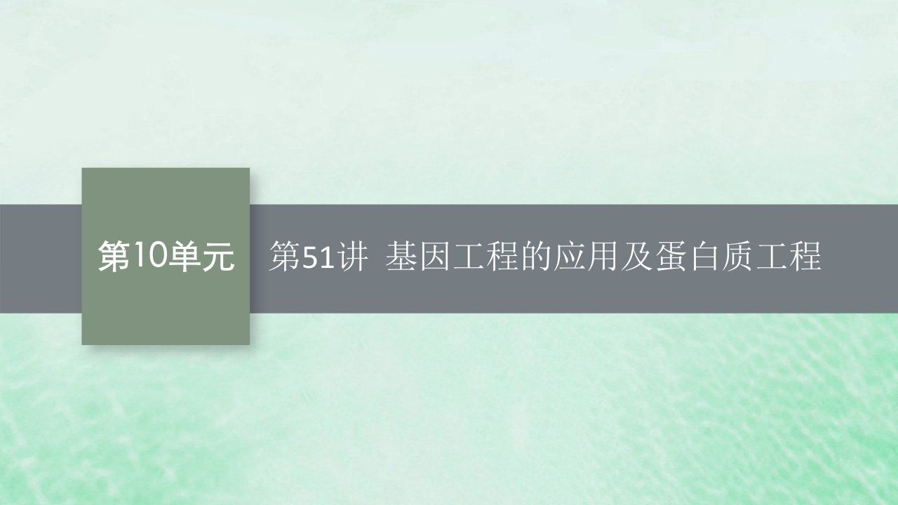 适用于新教材2024版高考生物一轮总复习第10单元生物技术与工程第51讲基因工程的应用及蛋白质工程课件新人教版