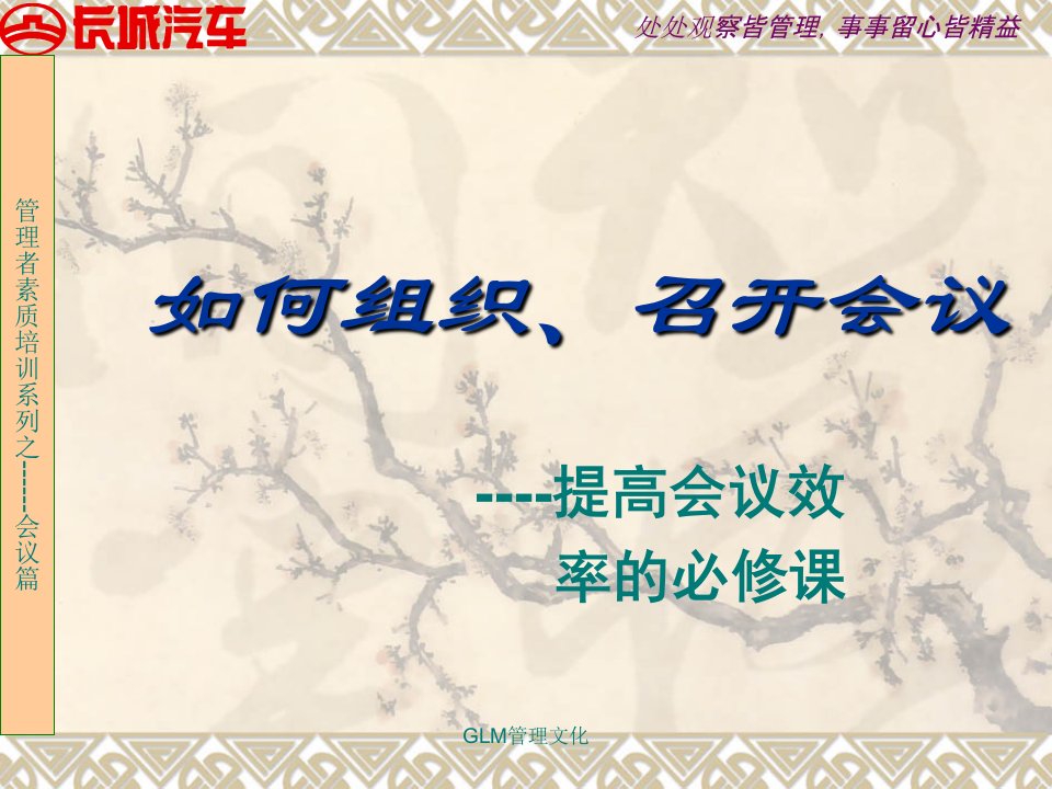 如何组织_召开会议（PPT31页)