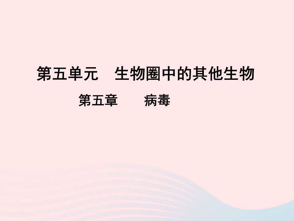 2022八年级生物上册第五章簿教学课件新版新人教版