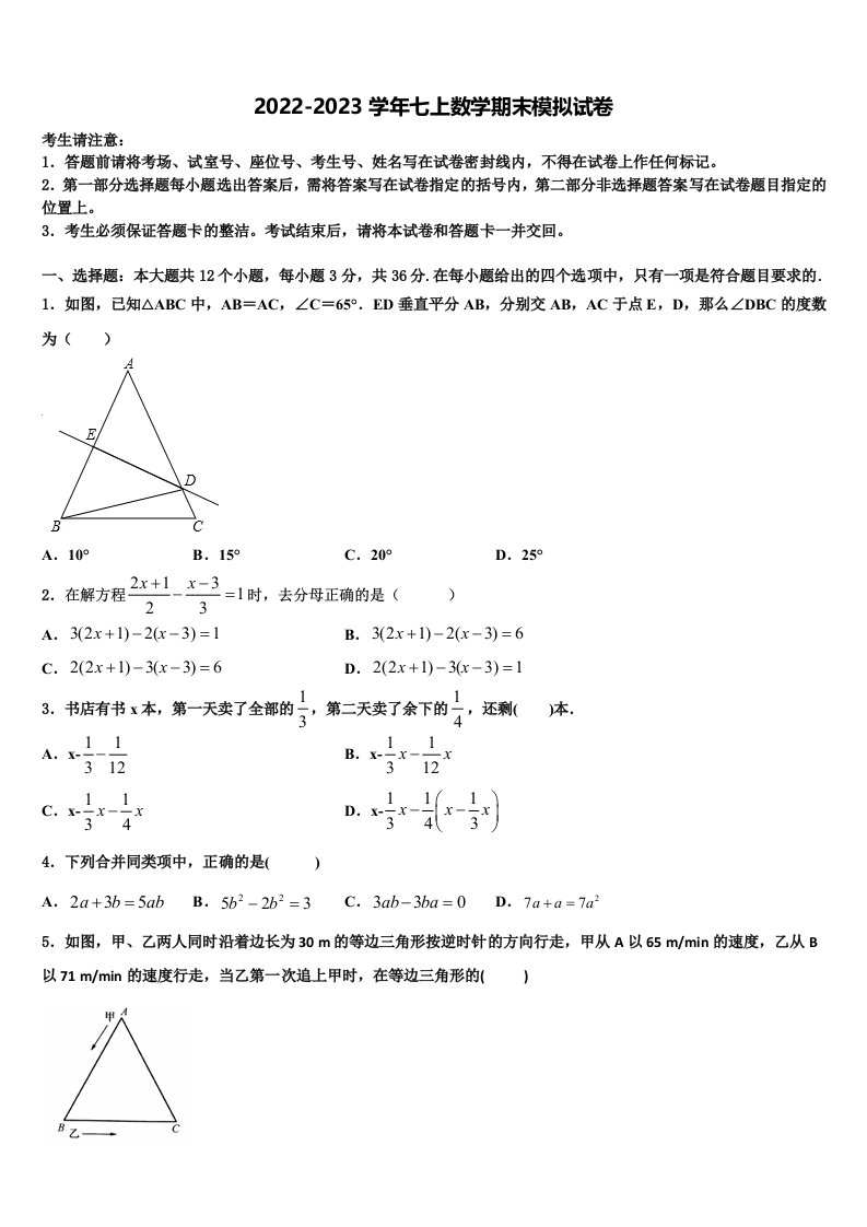 2022-2023学年广东惠州市惠阳区七年级数学第一学期期末检测模拟试题含解析