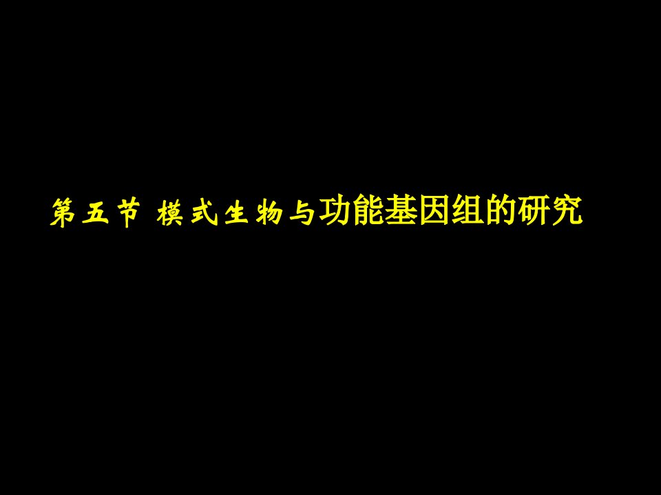 模式生物与功能基因组的研究