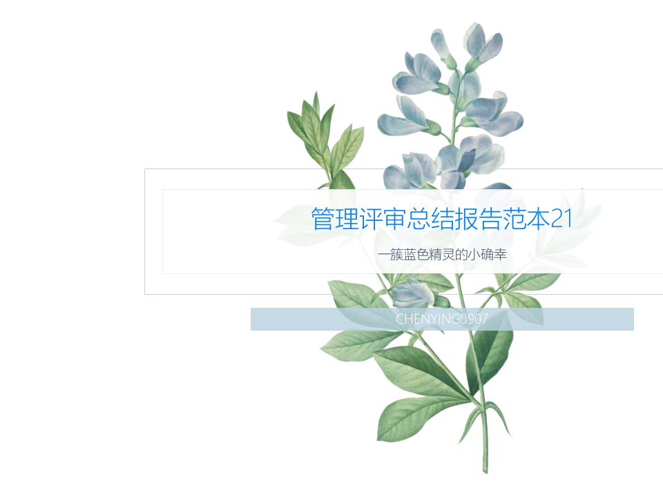 管理评审总结报告范本21