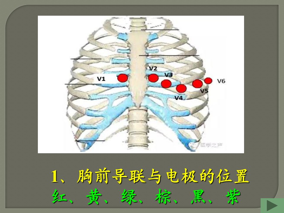 心电图操作及识别