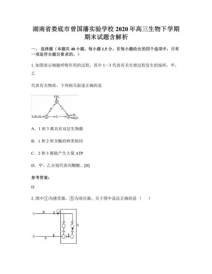 湖南省娄底市曾国藩实验学校2020年高三生物下学期期末试题含解析