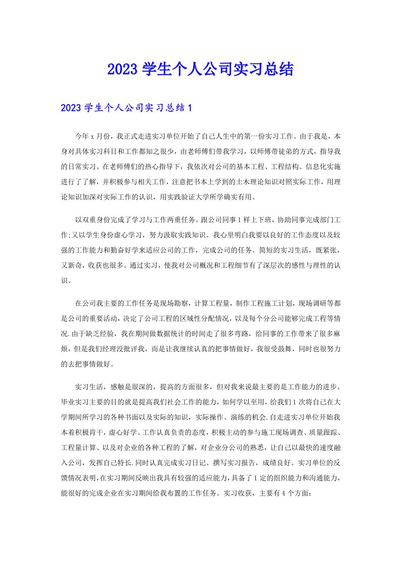 2023学生个人公司实习总结