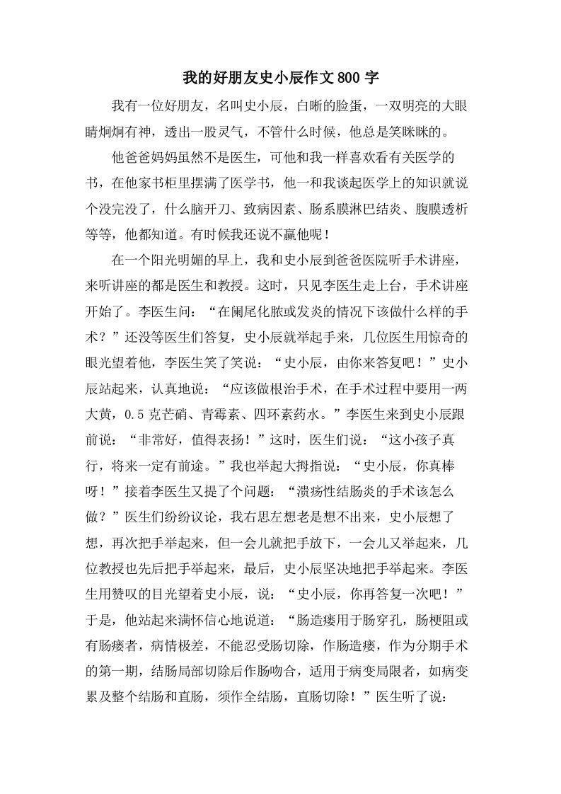 我的好朋友史小辰作文800字