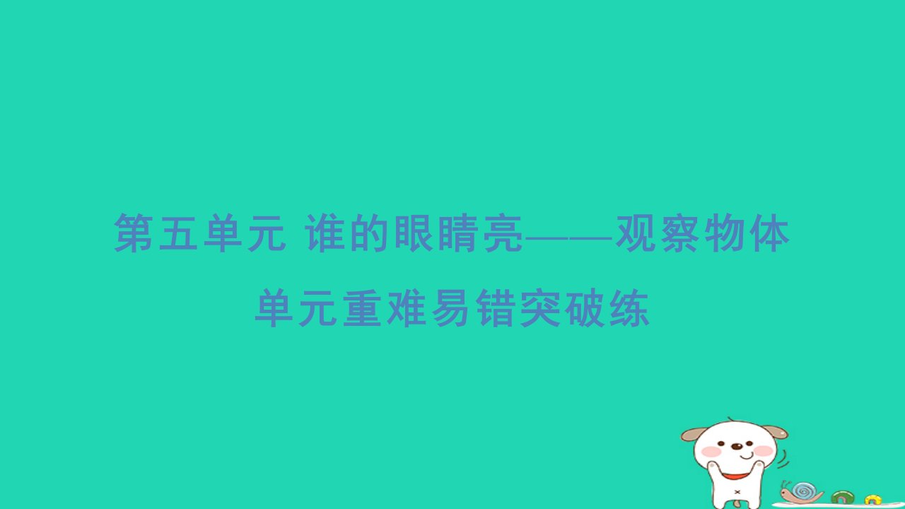 2024二年级数学下册五谁的眼睛亮__观察物体重难易错突破练习题课件青岛版六三制