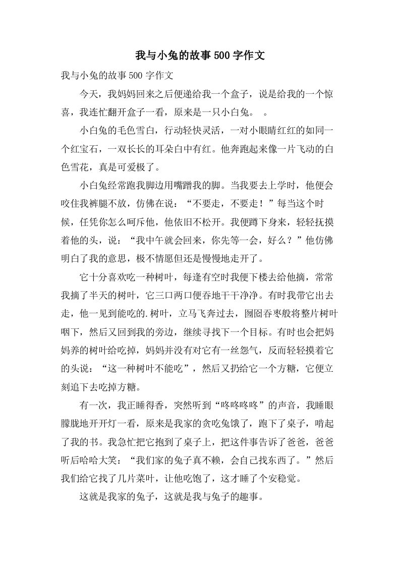 我与小兔的故事500字作文