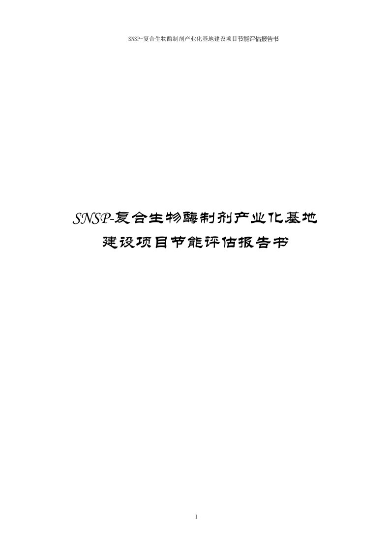 SNSP-复合生物酶制剂产业化基地建设项目节能评估报告书