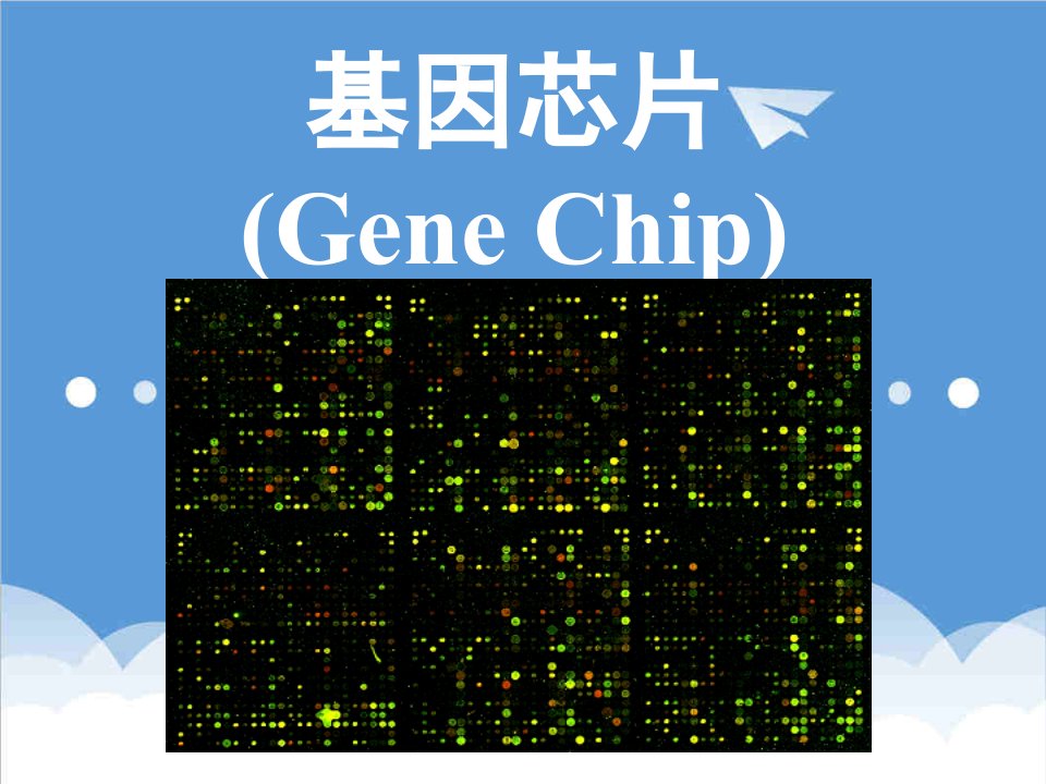 酒类资料-基因芯片讲义