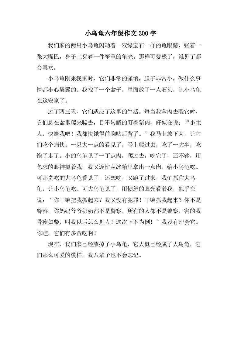 小乌龟六年级作文300字