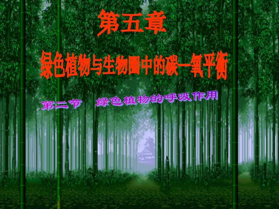 绿色植物的光合作用