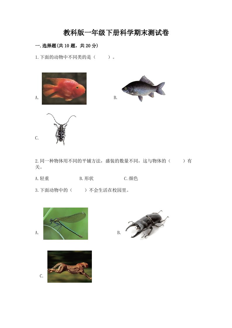 教科版一年级下册科学期末测试卷及答案（各地真题）