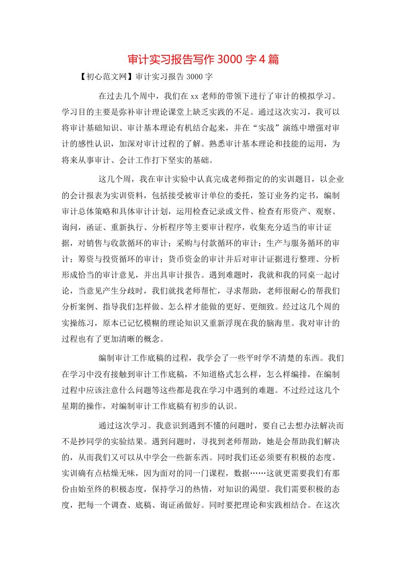 审计实习报告写作3000字4篇