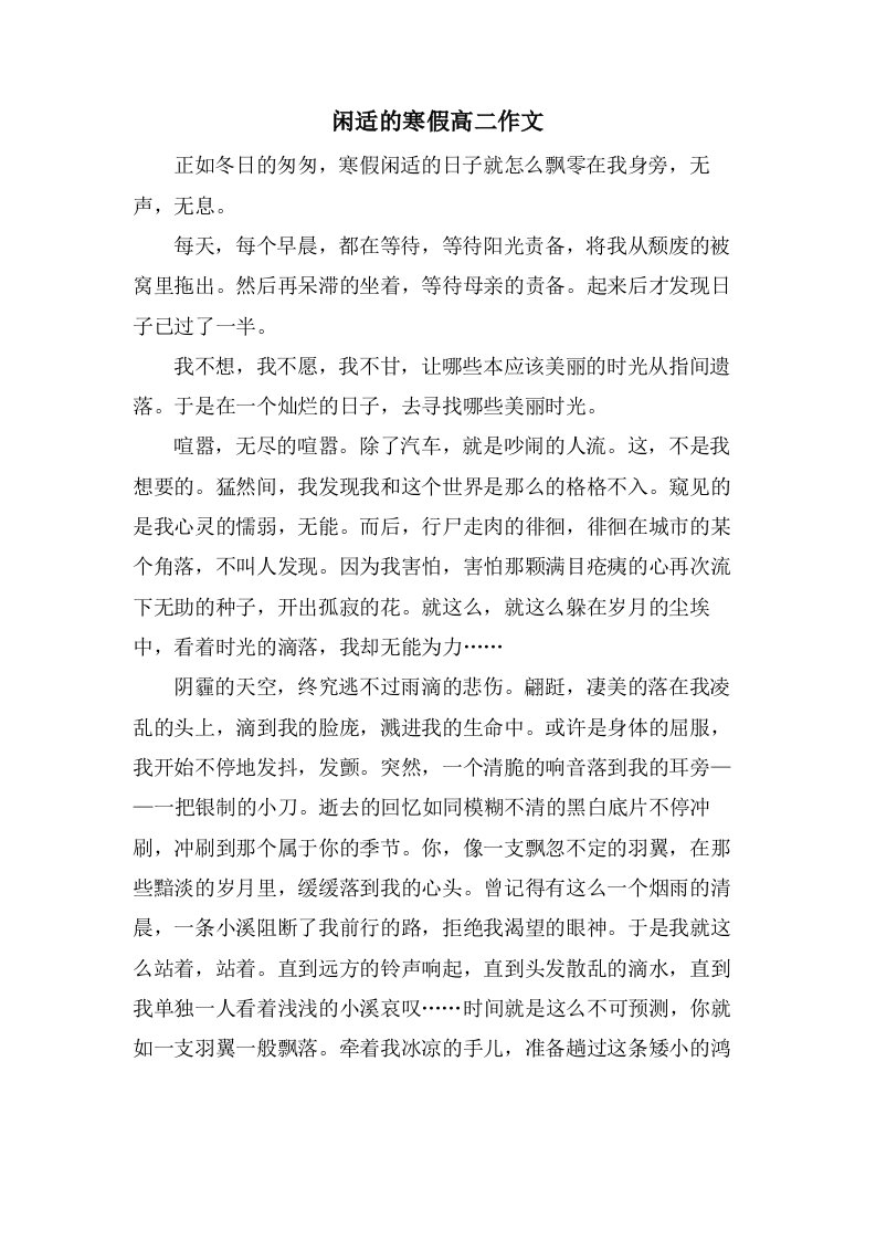 闲适的寒假高二作文