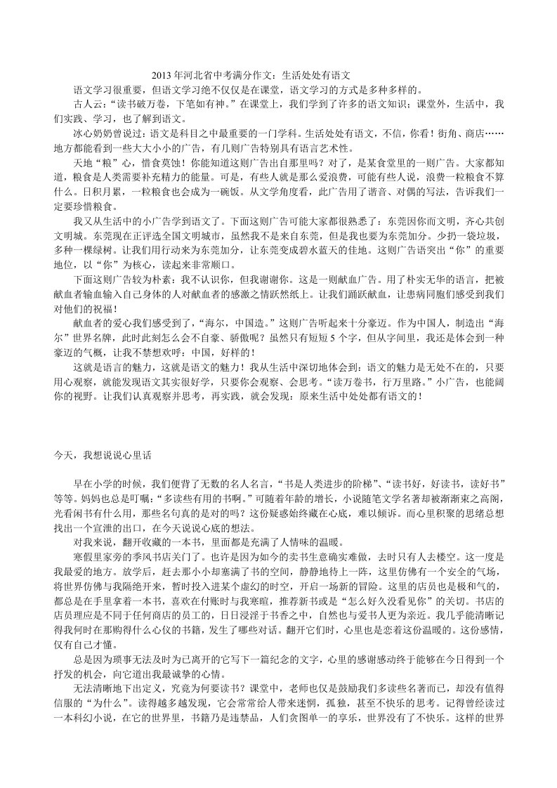 2013年河北省中考满分作文