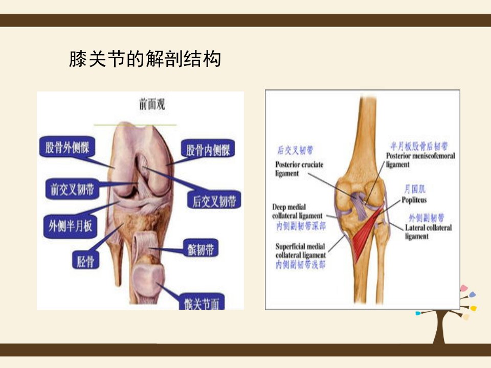 全膝关节置换新ppt课件