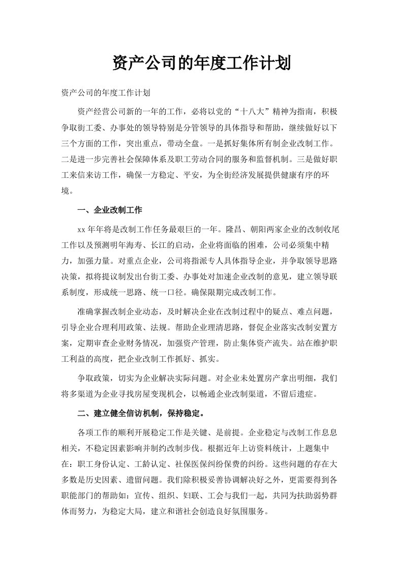 资产公司的年度工作计划