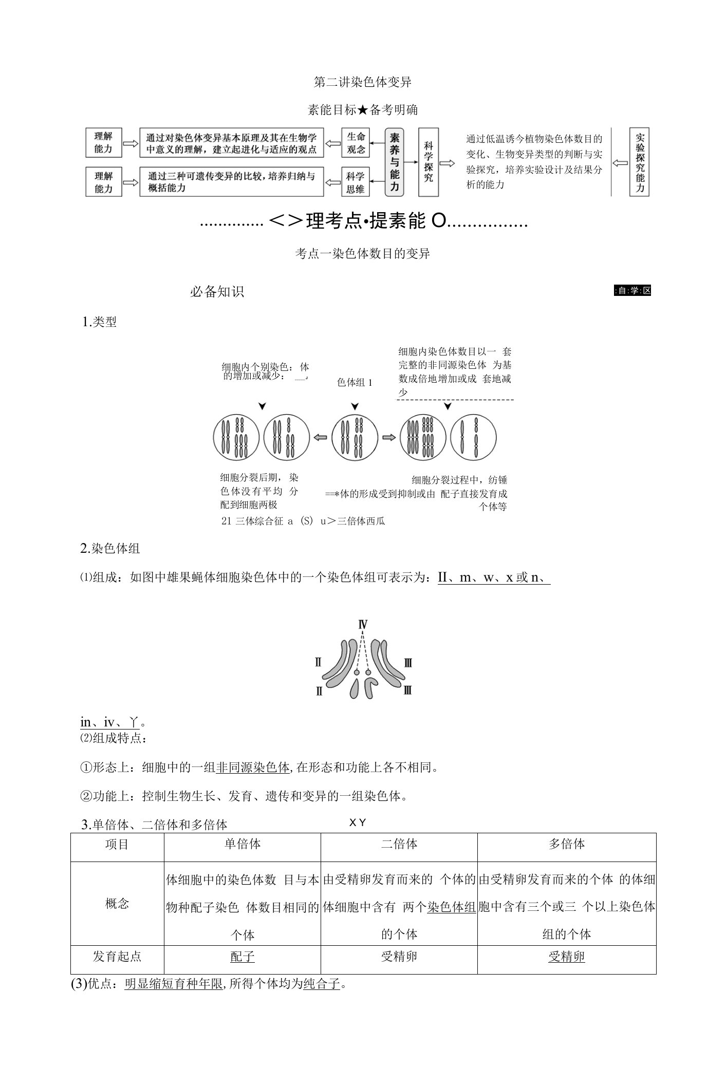 新高考