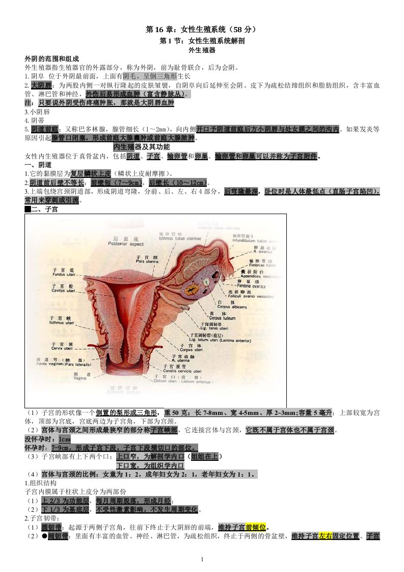 妇产科女性生殖系统题库