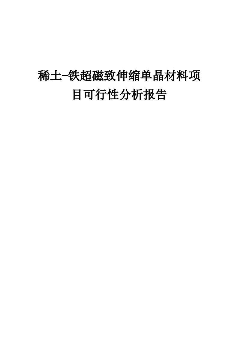 2024年稀土-铁超磁致伸缩单晶材料项目可行性分析报告