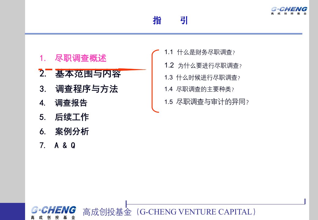 财务尽职调查实务及案例分析181页PPT