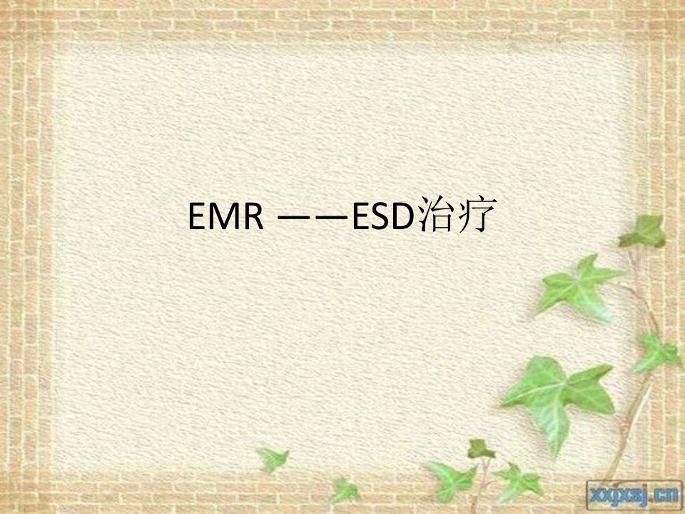 emr-esd治疗课件